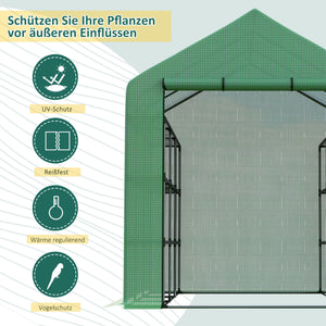 Foliengewächshaus begehbar mit Regalen und Tür für Tomaten