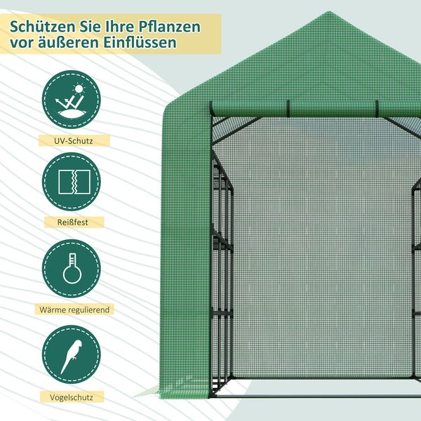 Foliengewächshaus begehbar mit Regalen und Tür für Tomaten