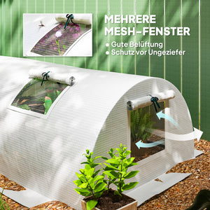 Foliengewächshaus Mini Tunnel mit Fenster UV-beständig 300cm
