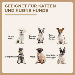 Futternapf-Set Edelstahl 2 Näpfe bis 8kg Grau