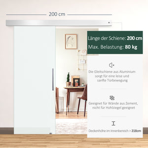Glasschiebetür satiniert mit Griffstange 90x205cm