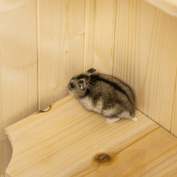 Hamsterkäfig gross mehrstöckig mit Gitterdach aus Holz