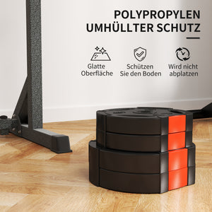 Hantelgewichte 4er-Set 2x5kg und 2x25kg