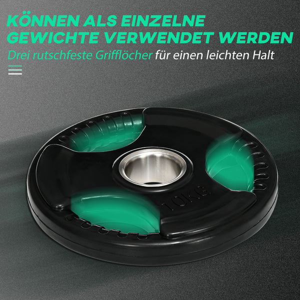 Hantelscheiben 2er Set mit Griffen und Gummimantel bodenschonend 10kg
