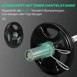 Hantelscheiben 2er Set mit Griffen und Gummimantel bodenschonend 10kg