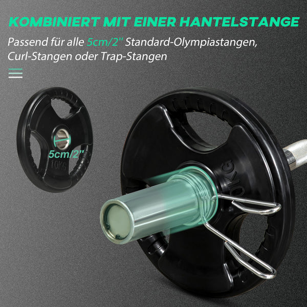 Hantelscheiben 2er Set mit Griffen und Gummimantel bodenschonend 10kg