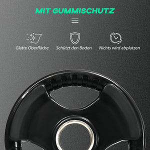 Hantelscheiben 2er Set mit Griffen und Gummimantel bodenschonend 10kg