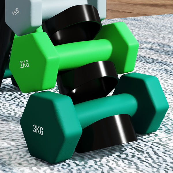 Hantelset mit Ständer 6 Kurzhanteln für Fitness 1-3kg