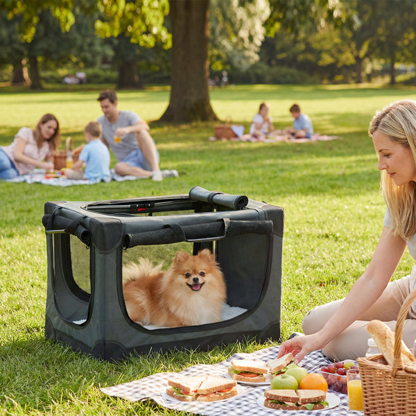 Hundetransportbox faltbar mit Kissen waschbar für kleine Hunde
