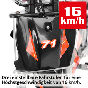 Hecht Kinder Elektro-Motorrad Dirtbike Pocketbike Rot 54300