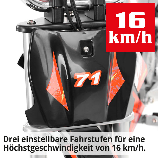 Hecht Kinder Elektro-Motorrad Dirtbike Pocketbike Rot 54300