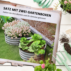 Hochbeet 2er-Set aus Metall mit offenem Boden 60x60x30cm Silber