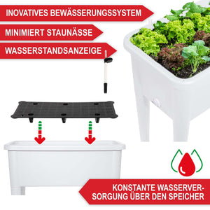 Hochbeet Kunststoff wetterfest mit Belüftung & Abdeckhaube Weiss