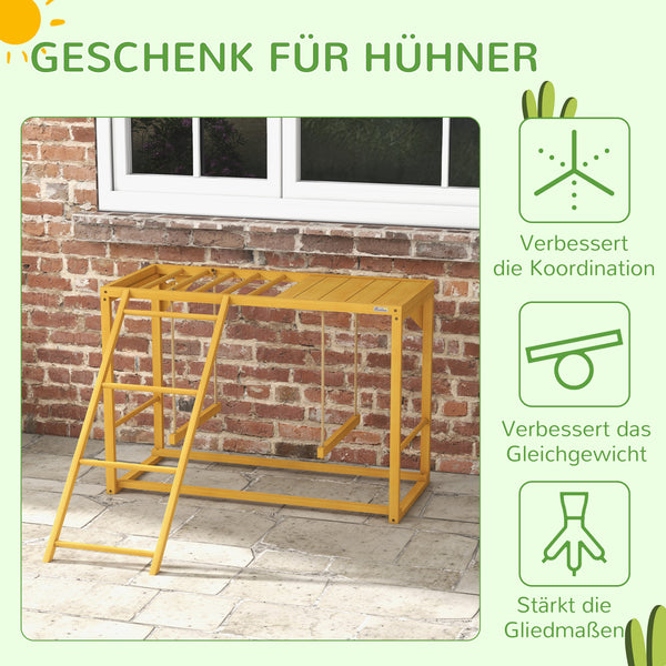 Hühner-Spielgerüst mit Schaukeln & Leiter für 3-4 Hühner Naturholz