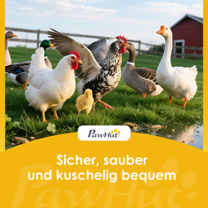 Hühnerstall gross mit Freilauf und Nistkästen für Hühner Holz