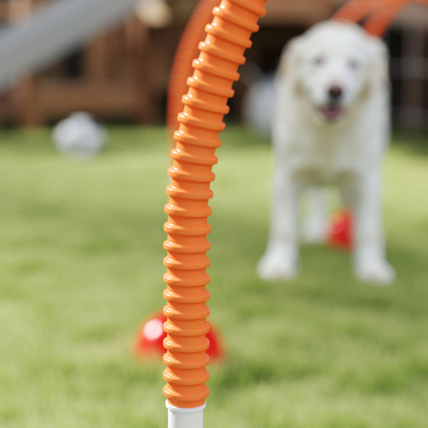 Hund Agility Trainingsset verstellbar mit Tragetasche für Hunde