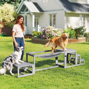 Hunde Agility Set mit Brücke Treppe und Plattform aus Holz