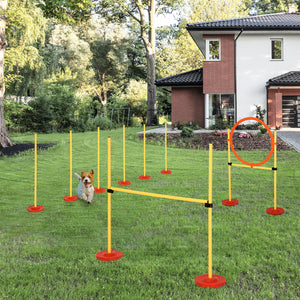 Hunde Agility Set 3-in-1 mit Tragetasche Gelb