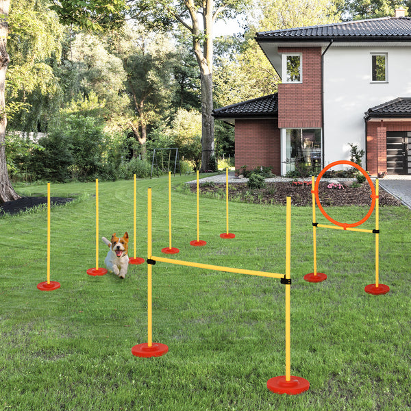 Hunde Agility Set 3-in-1 mit Tragetasche Gelb