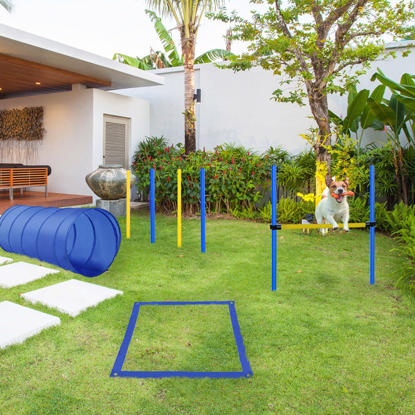 Hunde Agility Set mit Tunnel & Hürden Blau