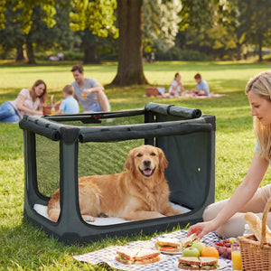 Hundetransportbox faltbar mit Kissen waschbar bis 30kg