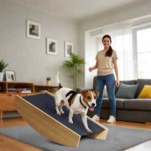 Hundewippe Agility-Rampe 2-in-1 für Hunde bis 15kg Naturholz