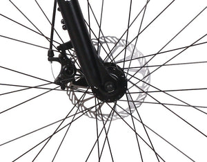 TOTEM Mountainbike Hybrid Disc, 18"" - Rahmen: 46cm