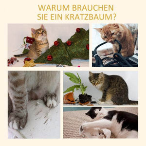 Kratzbaum Katzenbaum Kletterbaum Höhenverstellbar Hellbraun 43 x 27 x 228-260 cm