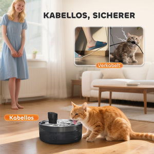 Katzenbrunnen leise mit Filter und LED für Katzen aus Edelstahl