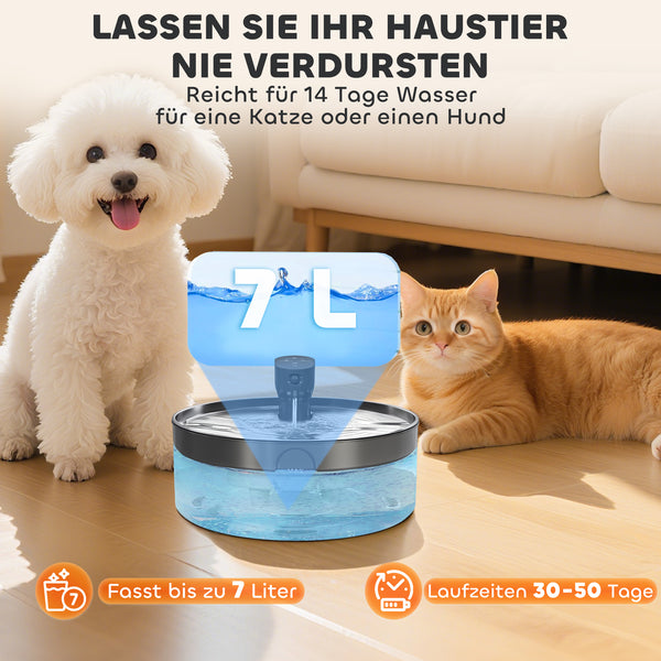 Katzenbrunnen leise mit Filter und LED für Katzen aus Edelstahl