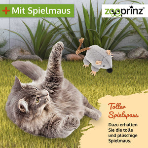 Katzenhaus Katerli geschützter Rückzugsort