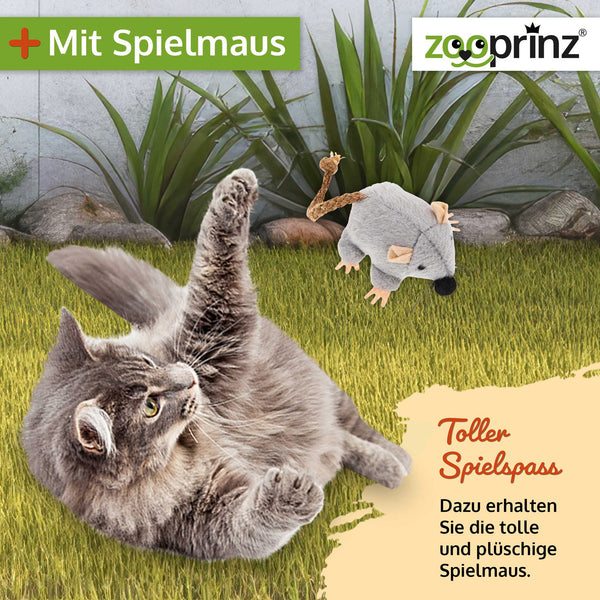 Katzenhaus Katerli geschützter Rückzugsort