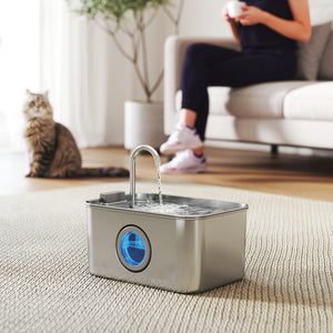Katzenbrunnen Trinkbrunnen leise mit Filter für Katzen 3L