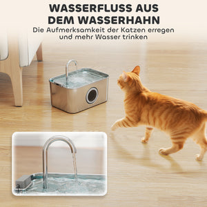 Katzenbrunnen Trinkbrunnen leise mit Filter für Katzen 3L