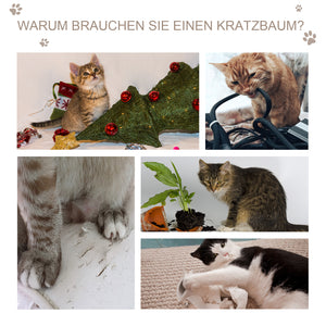 Katzenhöhle mit Kratzbrett Grau