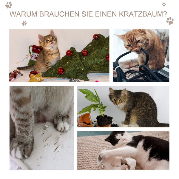 Katzenhöhle mit Kratzbrett Grau