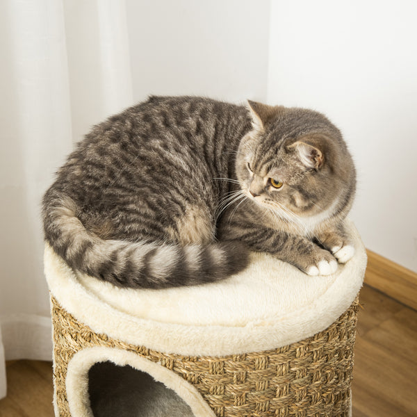 Katzenkratzbaum 3 Ebenen Sisal & Plüsch