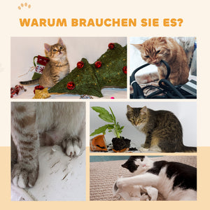 Katzenlaufrad mit Kratzmatte und Bremse für aktive Katzen
