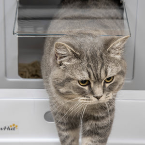 Katzentoilette mit Deckel praktisch und hygienisch Grau