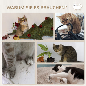Katzentreppen Kletterwand für Katzen 4-teilig Hängematte bis 5kg Braun