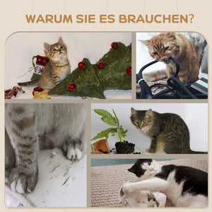 Kletterwand 4-teilig Hängematte Katzen bis 5kg Grau