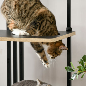 Kratzbaum für Katzen modern mit 3 Plattformen und Liegeflächen
