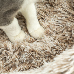 Kratzbaum mit Bett & Sisal-Kratzsäulen für Katzen bis 6kg 87cm Braun