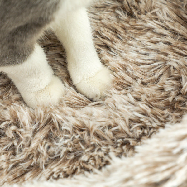 Kratzbaum mit Bett & Sisal-Kratzsäulen für Katzen bis 6kg 87cm Braun