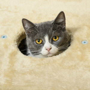 Katzen Kratzbaum mit Katzenhöhle bis 5kg 74cm Beige