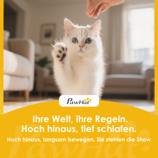 Kratztonne Katzentonne mit zwei Höhlen für Katzen bis 5kg
