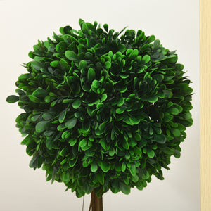 Alberi di bosso artificiali, set da 2, 60 cm, resistenti ai raggi UV, verdi