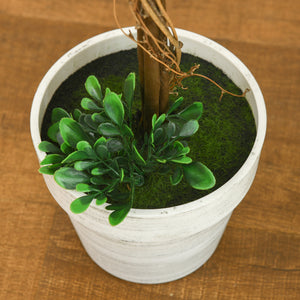 Alberi di bosso artificiali, set da 2, 60 cm, resistenti ai raggi UV, verdi