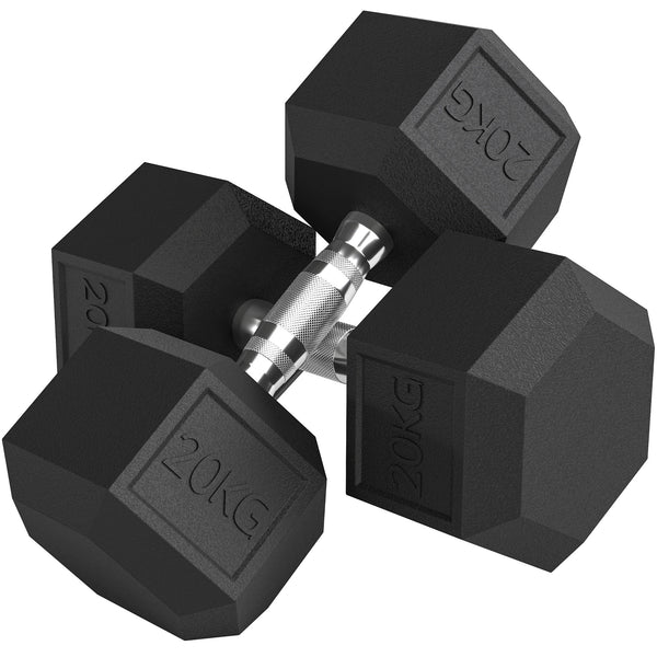 Kurzhanteln Set für Krafttraining Zuhause 2 x 20kg Gusseisen