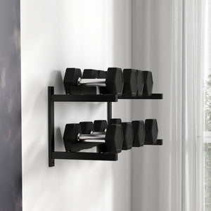 Wall-mounted dumbbell rack for 70kg weights and kettlebells, space-saving